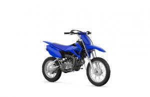 TT-R110 (25)